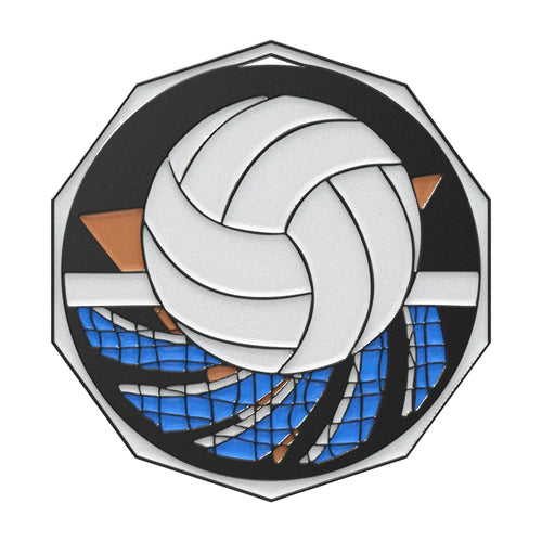 Volleyball Decagon Colored