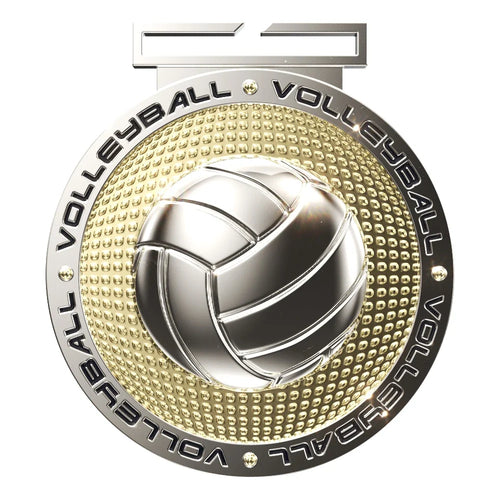 Dual Plated Volleyball