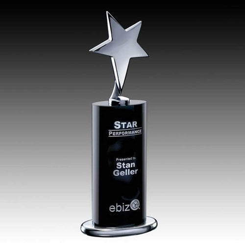 Mendocino Award