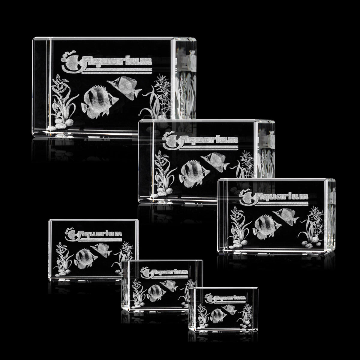 Lexington Cube 3D Award