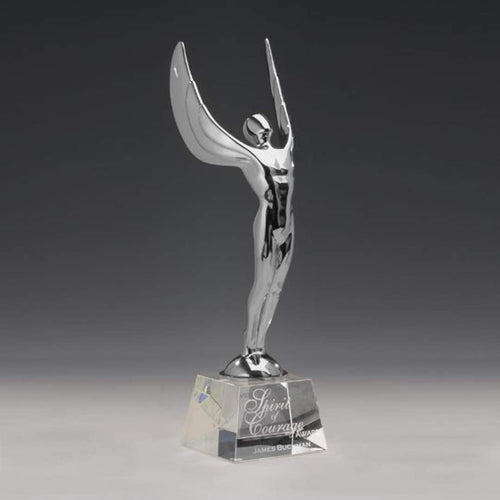 Winged Achievement Award on Optical