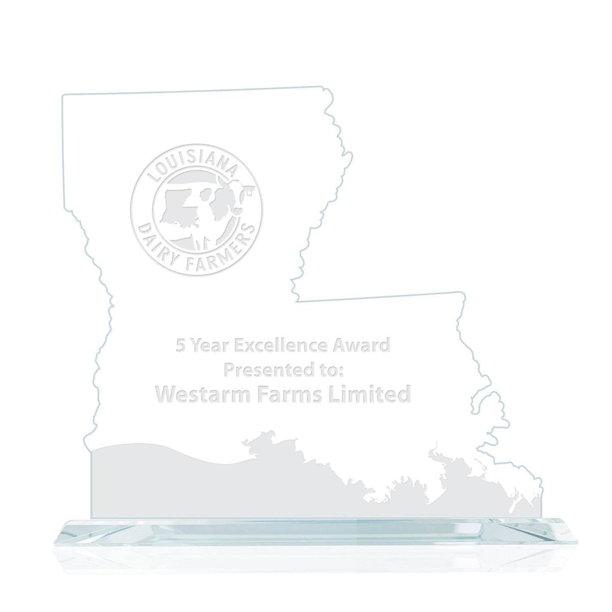 State Map Award -  Louisiana