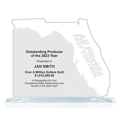 State Map Award -  Florida