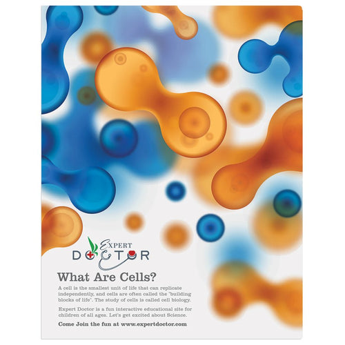 11" x 14" Semi-Gloss ChromaLuxe Aluminum Photo Panel