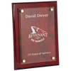 9" x 12" Piano Finish Floating Glass Plaque