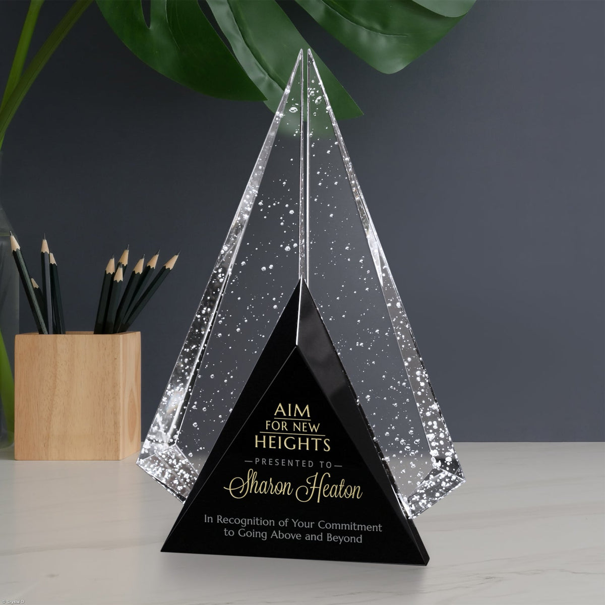 Archer Award 9-1/2"