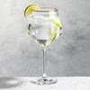 Tucson Gin & Tonic — Rim Options