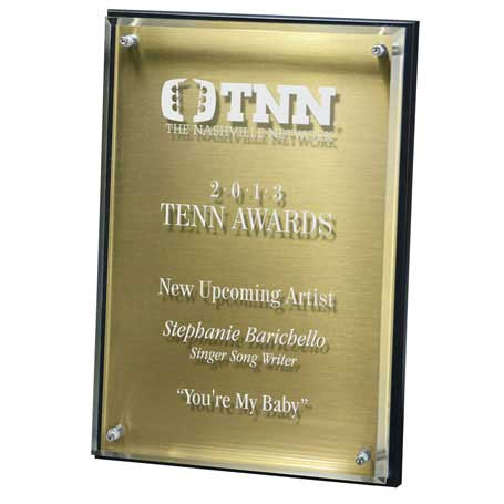 Hi-Tech Lucite Riser Plaque