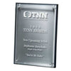 Hi-Tech Lucite Riser Plaque