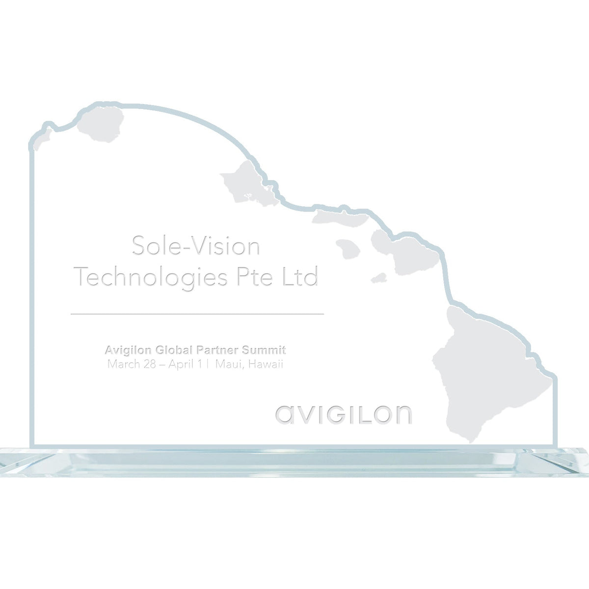 State Map Award -  Hawaii