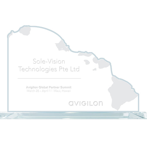 State Map Award -  Hawaii
