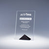 Paramount Crystal Award