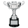 Classic Metal Cup Trophy