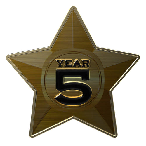 Express Gold Star Lapel Pin
