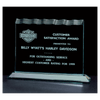 Tidal Series Jade Acrylic Award