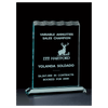 Tidal Jade Acrylic Award