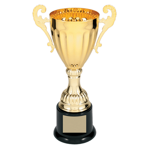 Gold Completed Metal Cup Trophy on Plastic Base