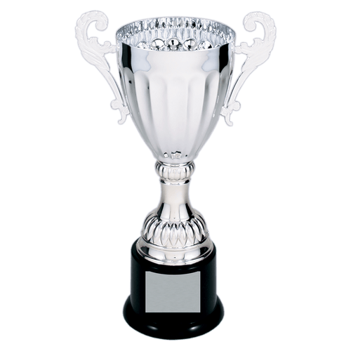 Silver Completed Metal Cup Trophy on Plastic Base
