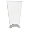 Fan Platinum Glass Award