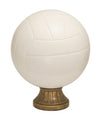 Color Volleyball Resin Award