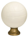 Color Volleyball Resin Award