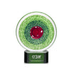 On Target Award on Green Base