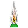 Carterra Award on Sheffield Green