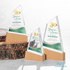 Terra VividPrint™ Award