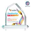 Austere Peak VividPrint™ Award