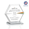 Barnett VividPrint™ Award