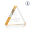 Spartan Triangle Award