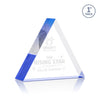 Spartan Triangle Award
