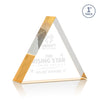 Spartan Triangle Award
