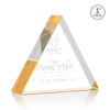 Spartan Triangle Award