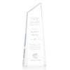 Hudson Award