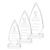 Vanderbilt Award