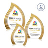 Tidworth Blaze VividPrint™ Award