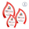 Tidworth Blaze VividPrint™ Award