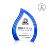 Tidworth Blaze VividPrint™ Award