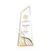 Hudson VividPrint™ Award