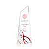 Hudson VividPrint™ Award