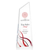 Hudson VividPrint™ Award