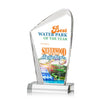 Simberg VividPrint™ Award