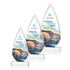 Vanderbilt VividPrint™ Award