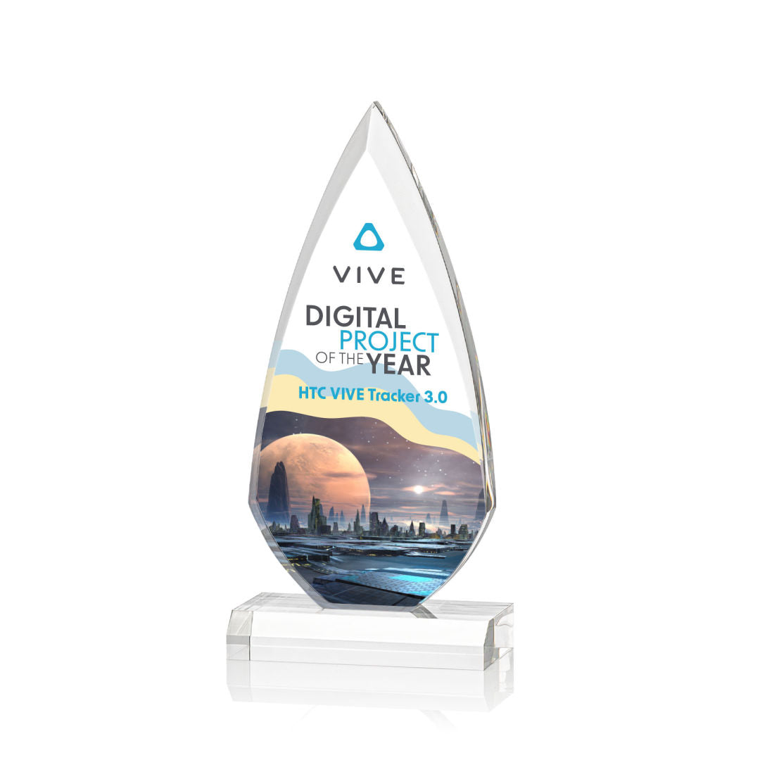Vanderbilt VividPrint™ Award