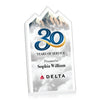 Polaris Summit VividPrint™ Award