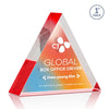 Spartan Triangle VividPrint™ Double Sided Award