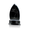Thompson Award