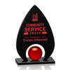 Dangerfield Award - Black