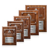 Gossamer Plaque - Walnut/Silver